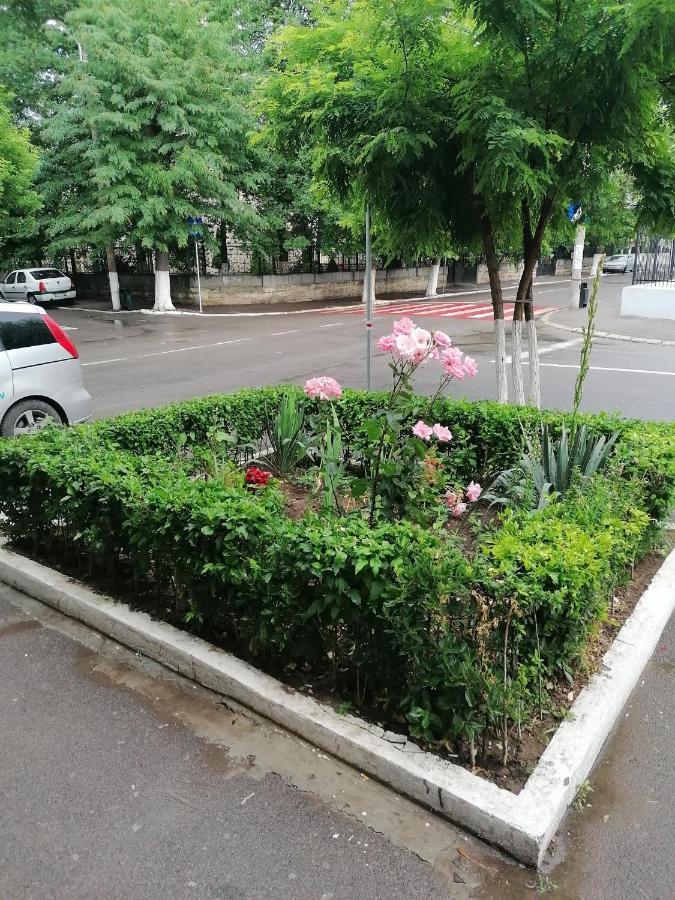 Mara Studio Apartment Constanta Bagian luar foto